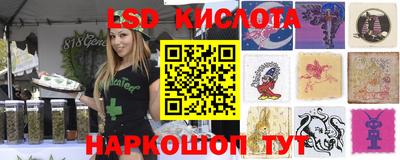 гидра Рязань