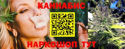гидра Рязань