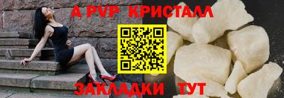 гидра Рязань