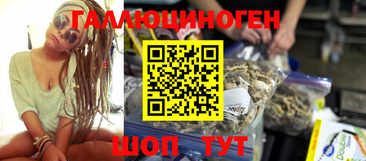 Галлюциногенные грибы Psilocybine cubensis  Вход с VPN  Россия 