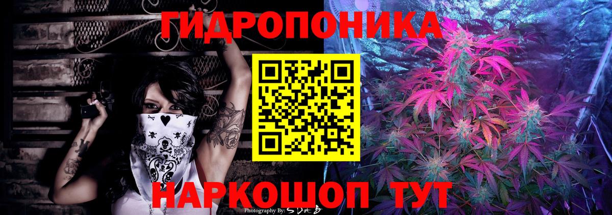 Бошки Шишки марихуана Россия